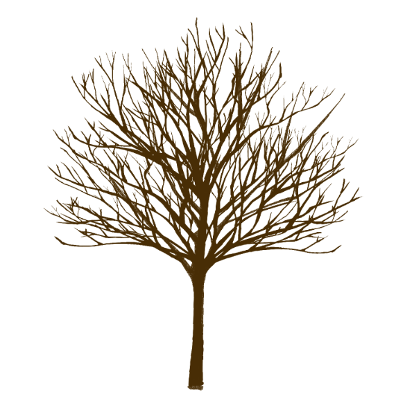 無料ブラシで簡単に木を描く方法